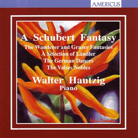 A Schubert Fantasy